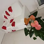Apartamento Casa Consiglia